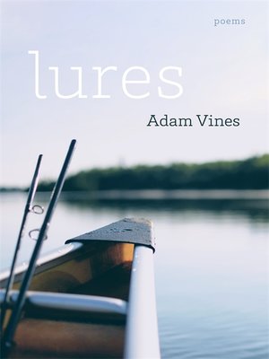 cover image of Lures